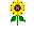 File:Sunflowerplant.png